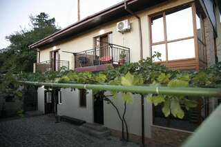 Дома для отпуска Luxury Villa Nieli Тбилиси-5